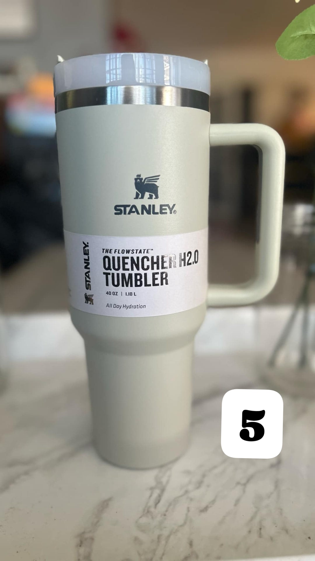 Solid Color 40 oz Stanley