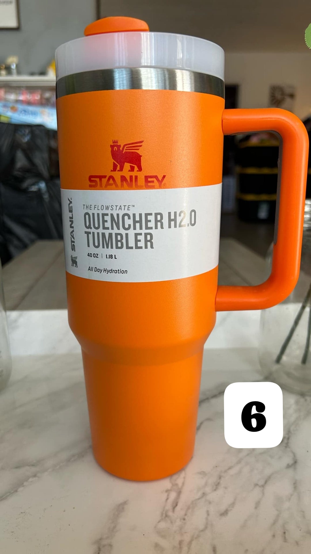 Solid Color 40 oz Stanley