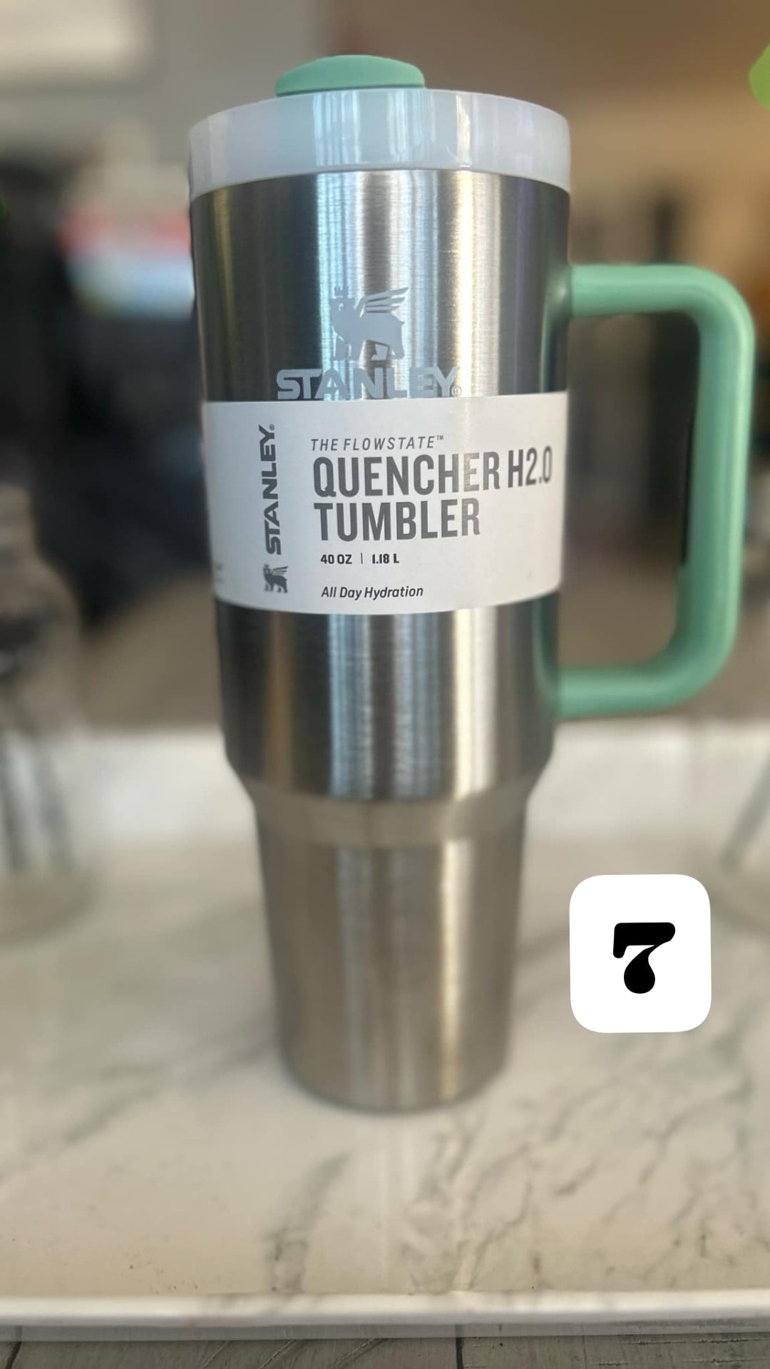 Solid Color 40 oz Stanley